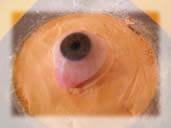وعاء يحتوي على عين اصطناعية من الأكريل